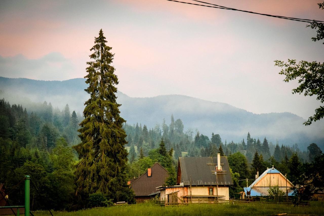 Montana Resort Colibita Bagian luar foto