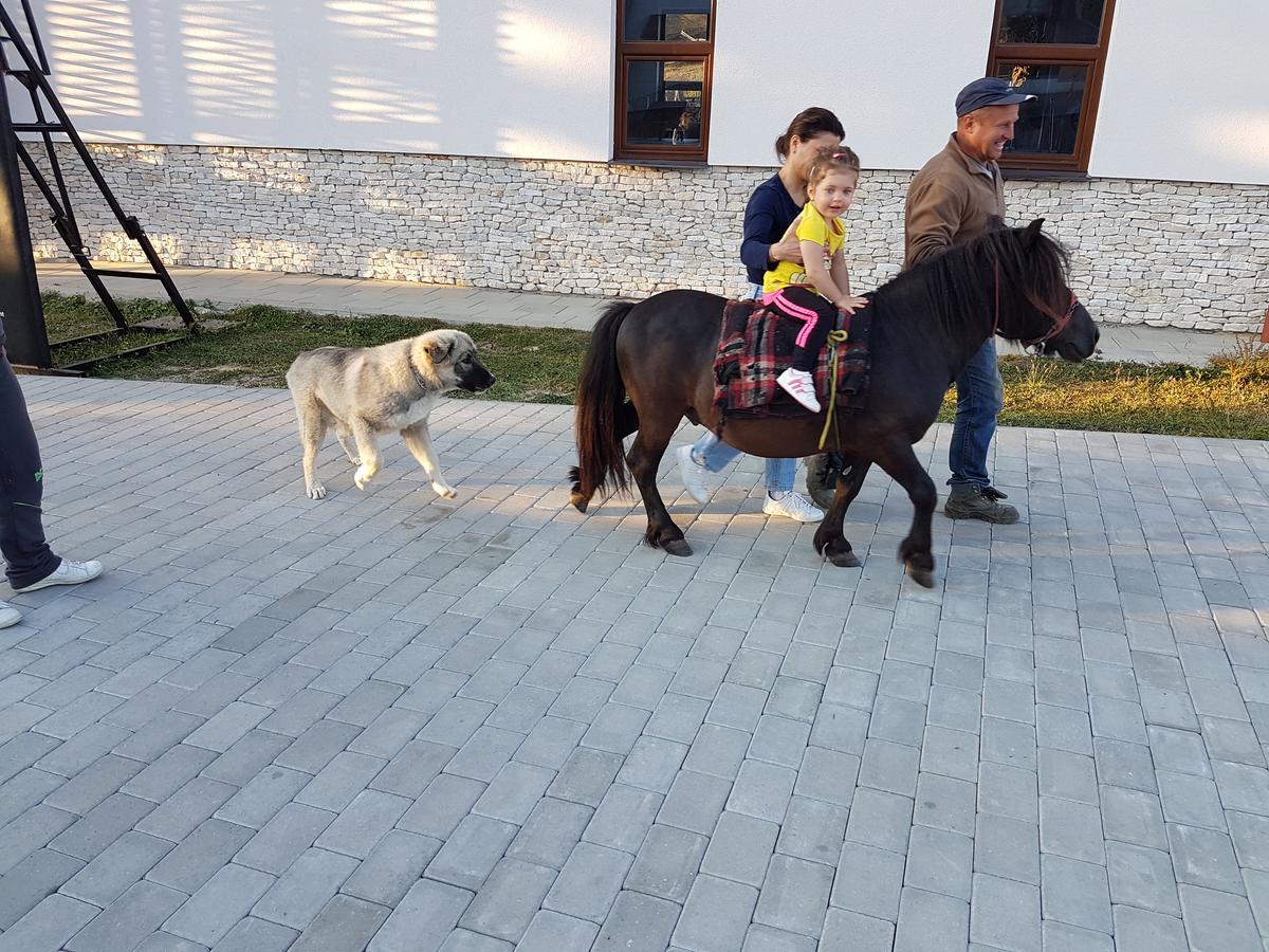 Montana Resort Colibita Bagian luar foto
